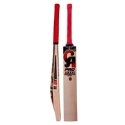 CA Pro 15000 Performance Edition English Willow Cricket Bat - front profile
